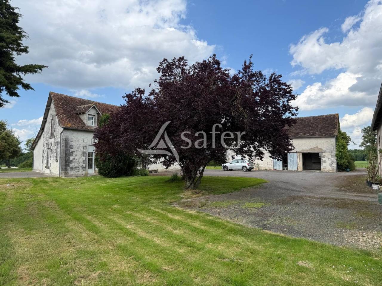 Dairy farm  Indre-et-Loire
