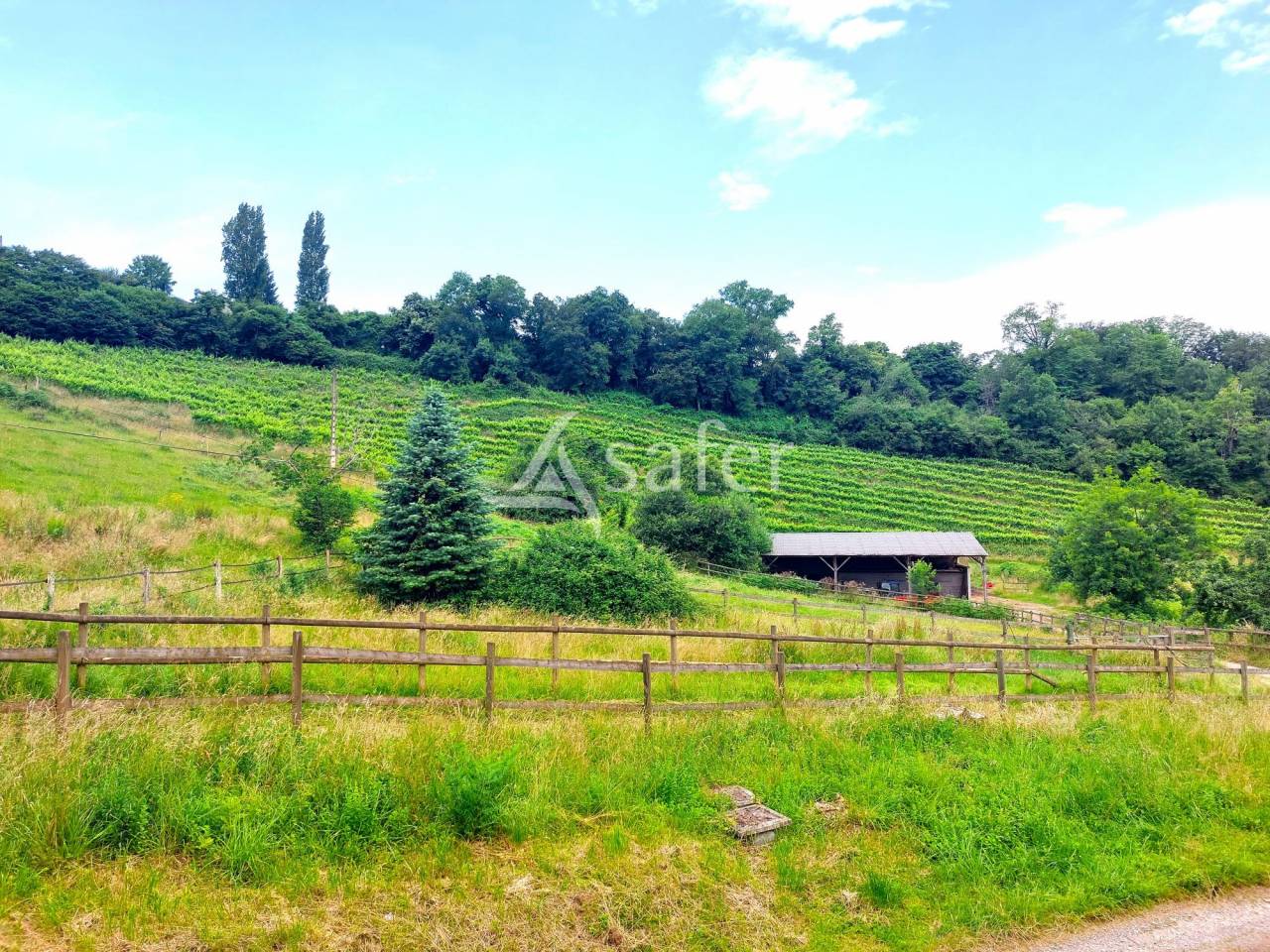 Other agricultural property  Pyrénées-Atlantiques