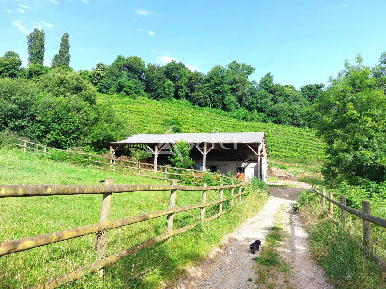Other agricultural property  Pyrénées-Atlantiques