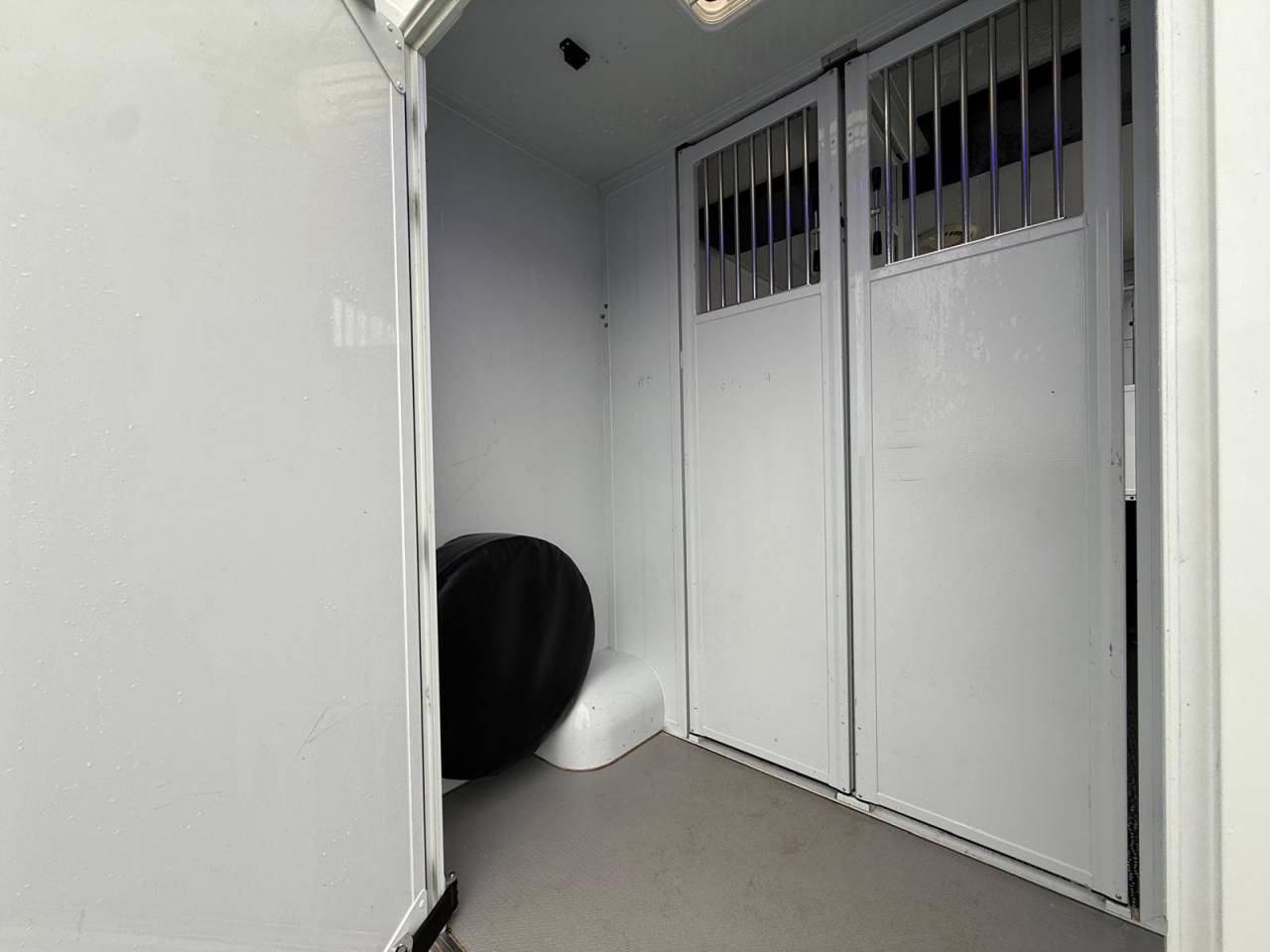 Horsebox HGV MTM FILOVAN MASTER  2016 Used