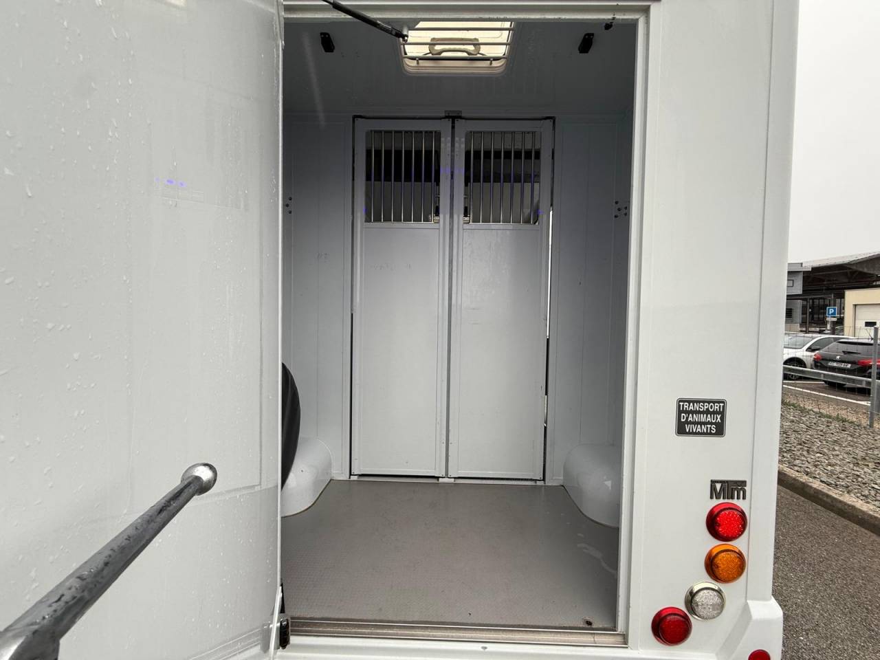 Horsebox HGV MTM FILOVAN MASTER  2016 Used