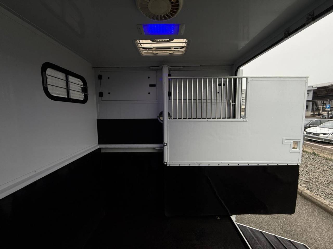 Horsebox HGV MTM FILOVAN MASTER  2016 Used