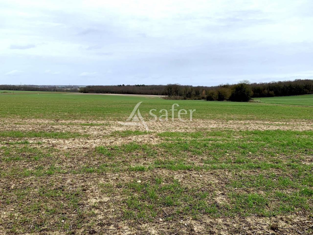 Other agricultural property  Indre-et-Loire