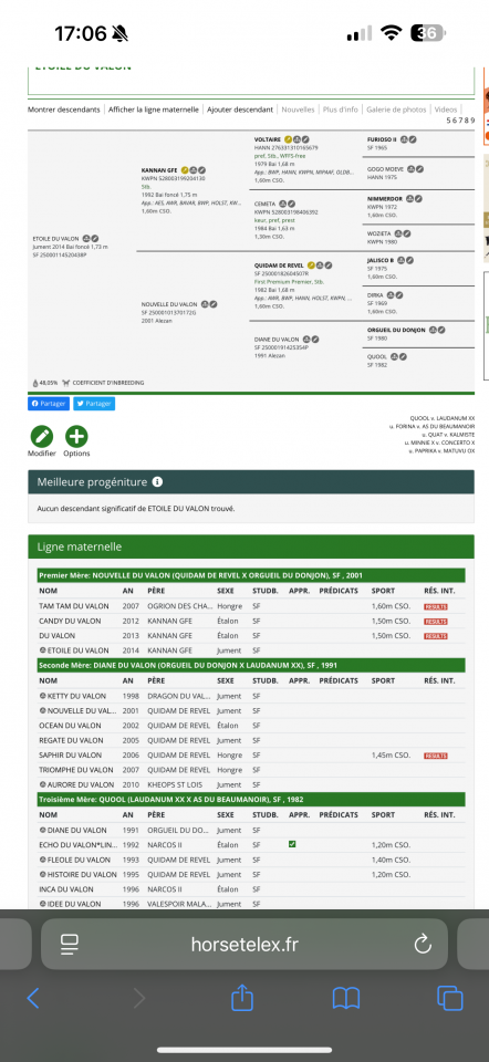 Mare Selle Français For sale 2014 Black