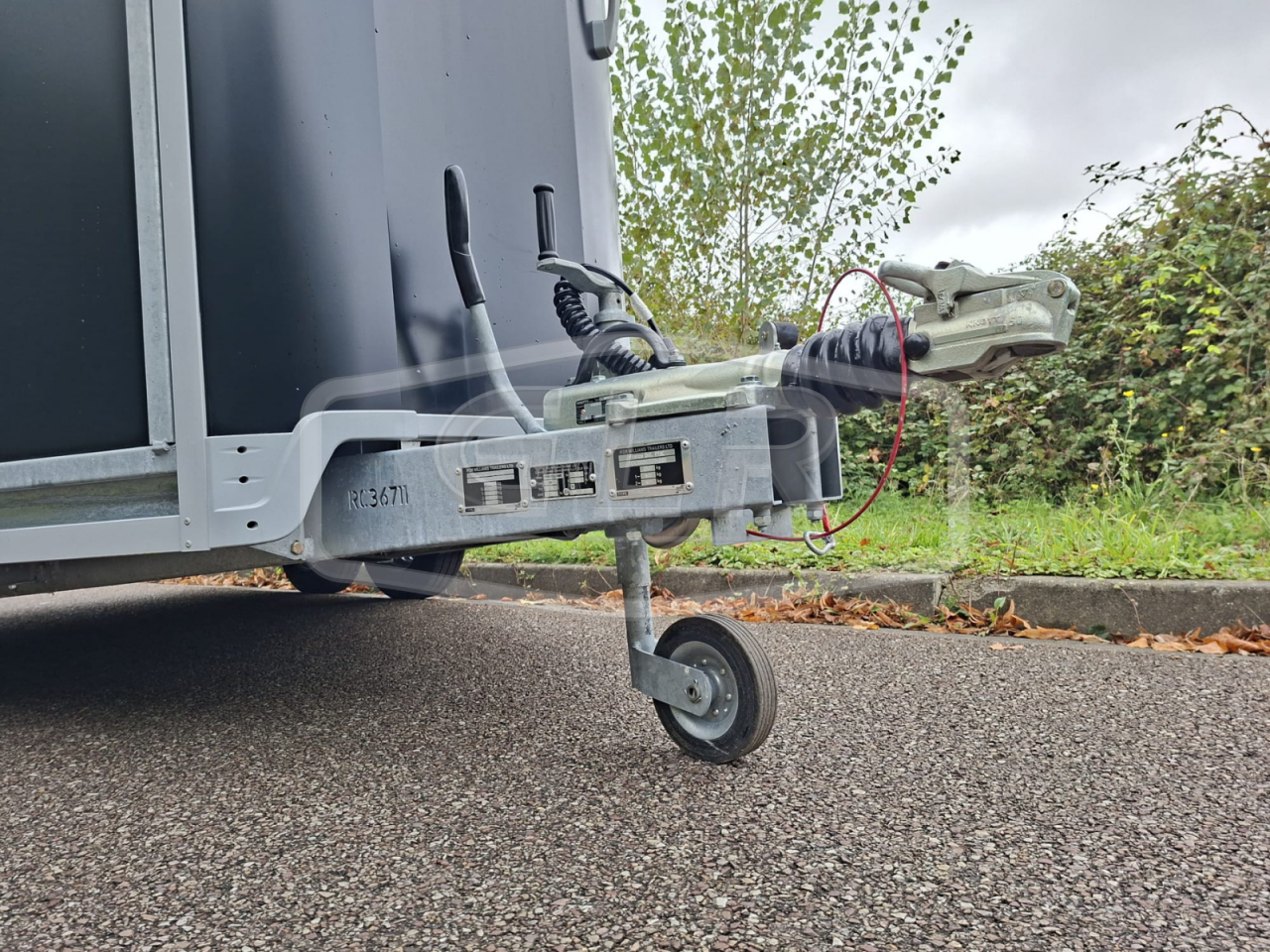 Horse trailer Ifor Williams HB 511 PONT PORTE 2 Stalls 2025 New