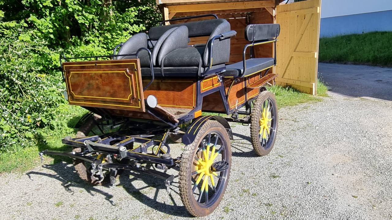 Carriage - Wagonnette Dominiak  