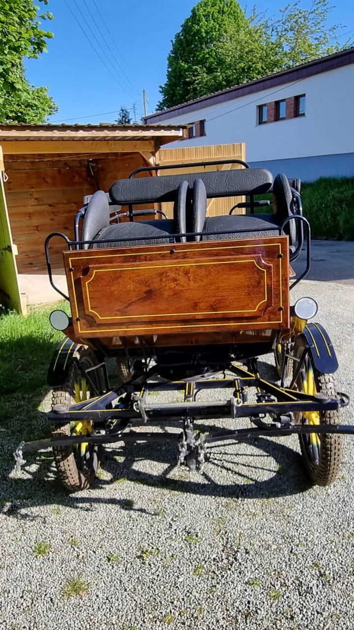 Carriage - Wagonnette Dominiak  