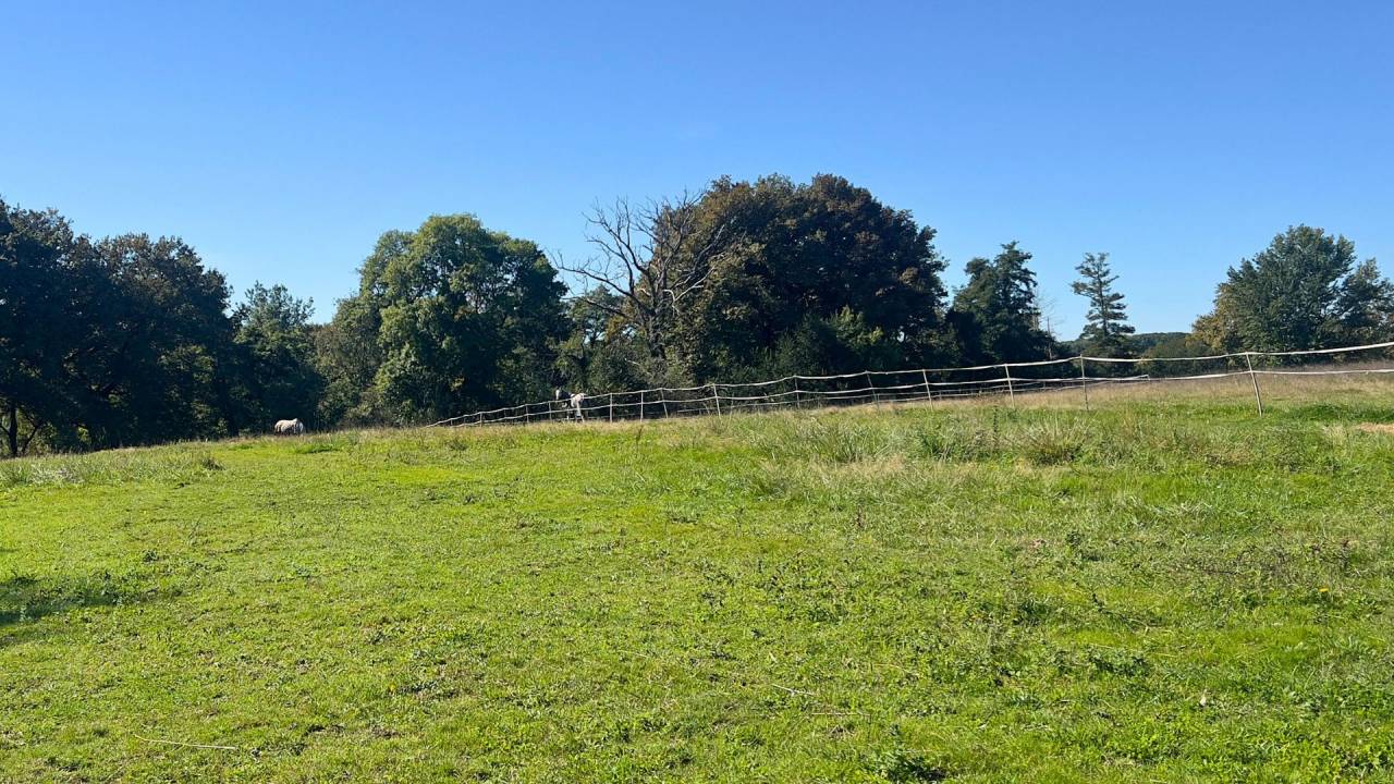 Equestrian property  Landes