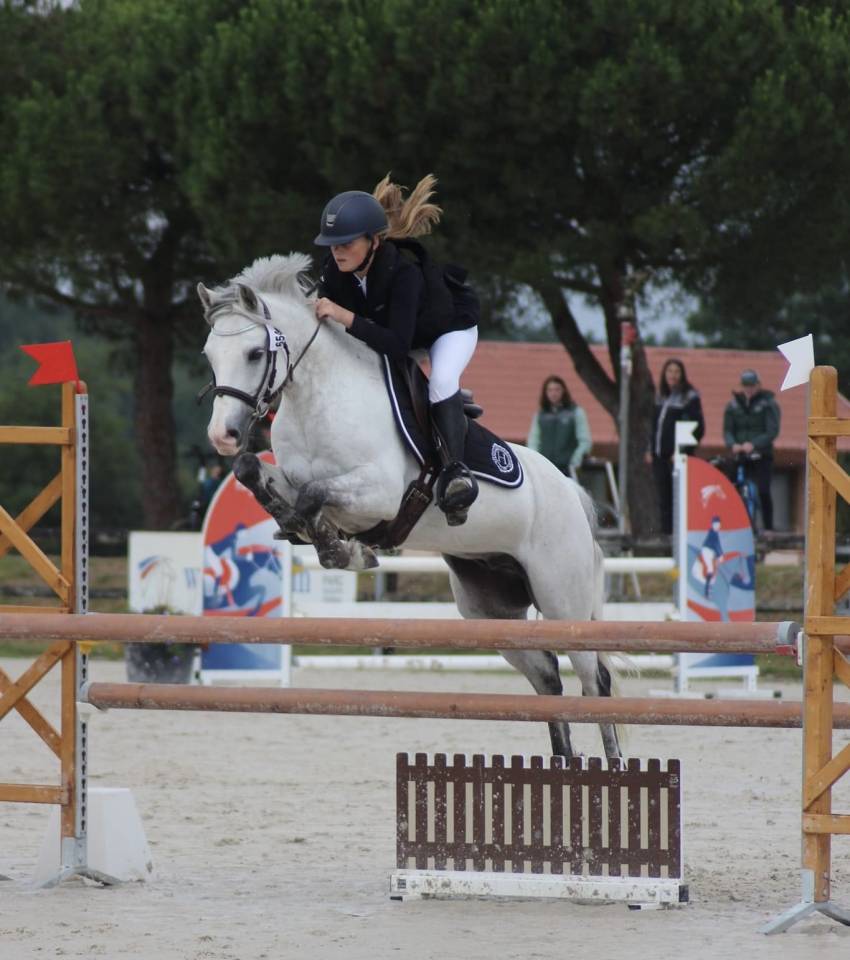 Gelding French Saddle Pony For loan 2011 Grey