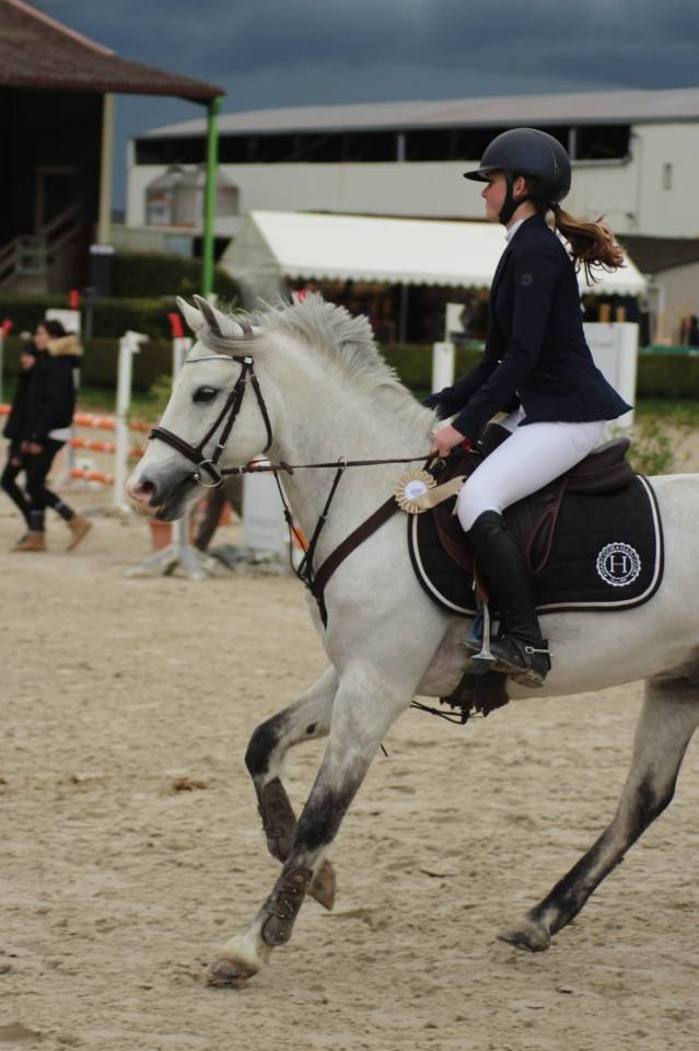 Gelding French Saddle Pony For loan 2011 Grey