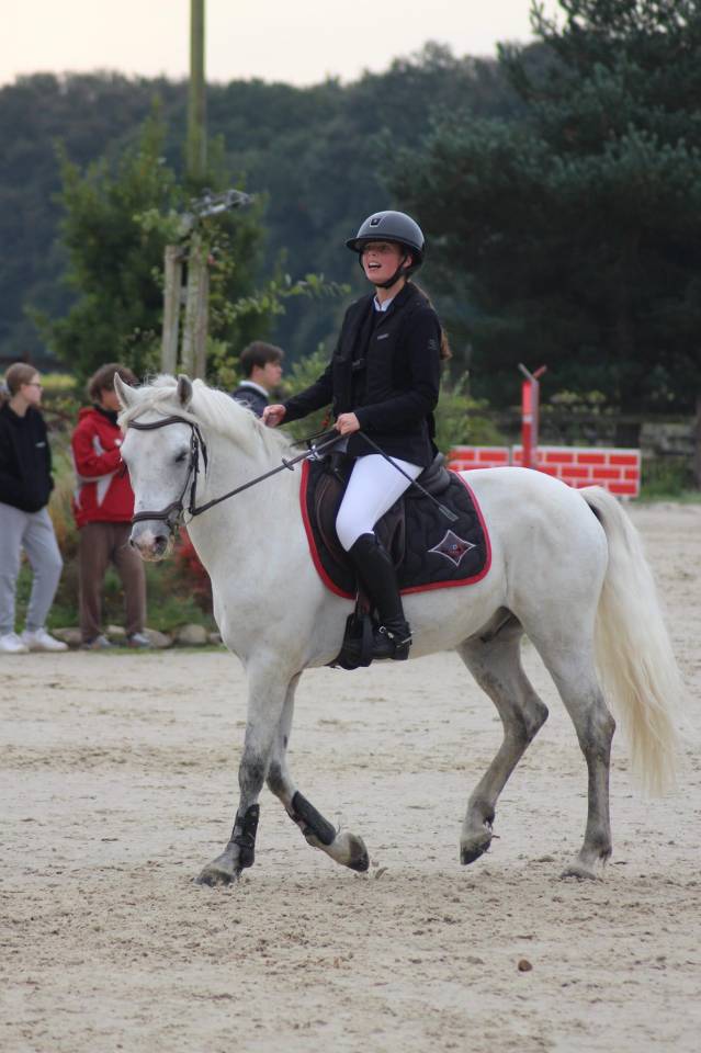 Gelding French Saddle Pony For loan 2011 Grey