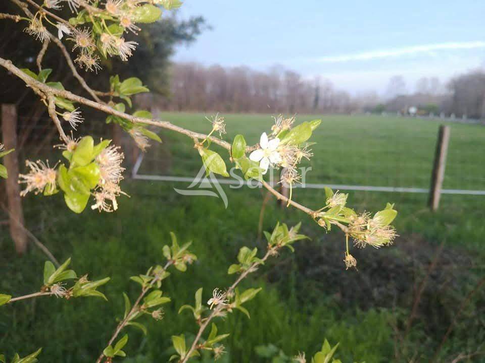 Equestrian property  Ain