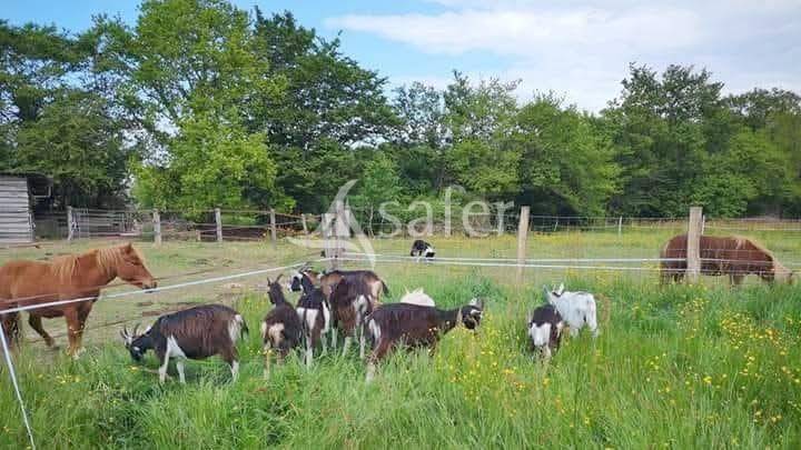 Equestrian property  Ain