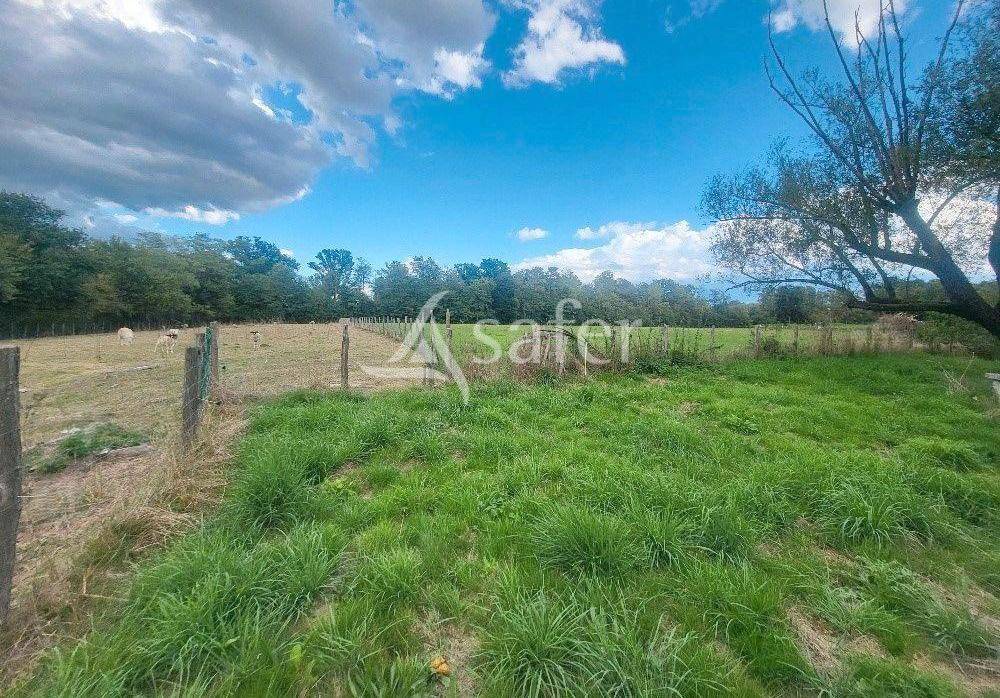 Equestrian property  Ain