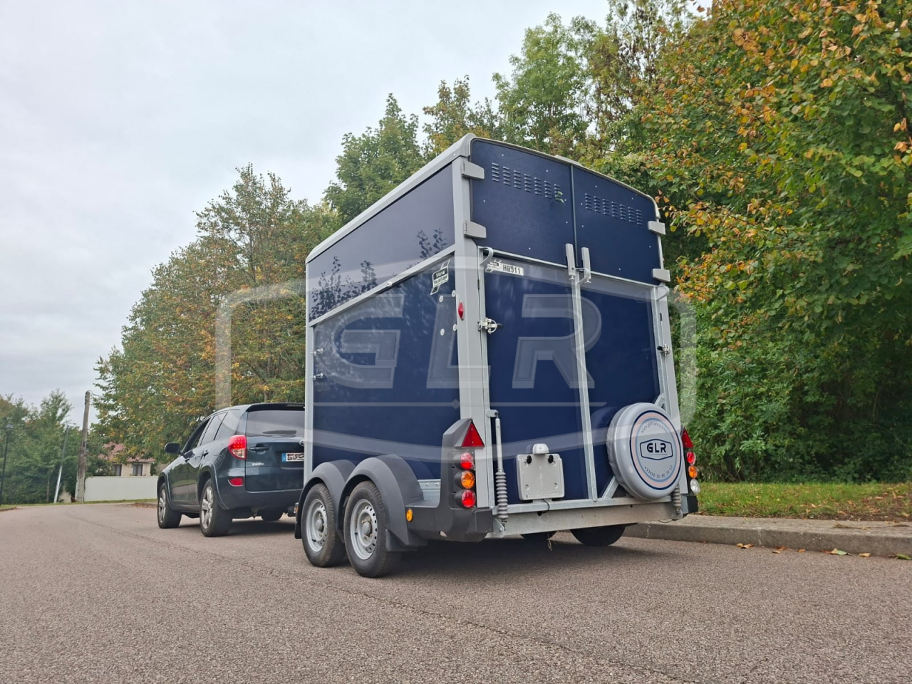 Horse trailer Ifor Williams HB 511 2 Stalls 2025 New