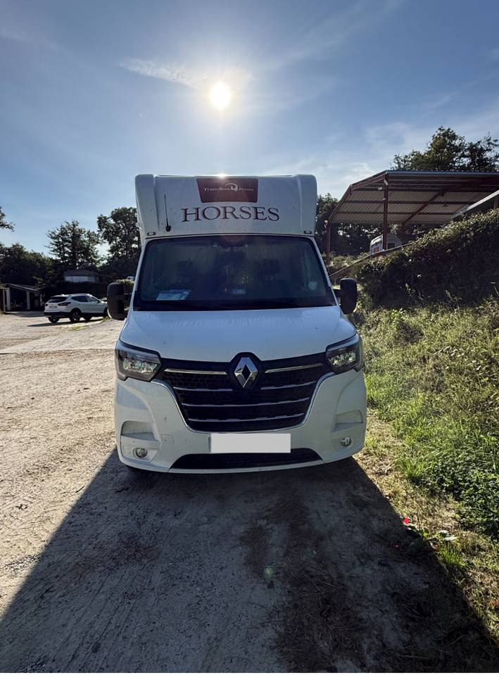 Horsebox HGV Trans Box Master 2025 New