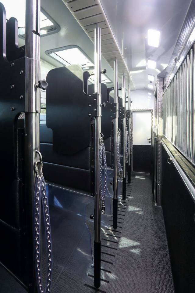 Horsebox NON-HGV - Other brand - Scania P420 2025 New