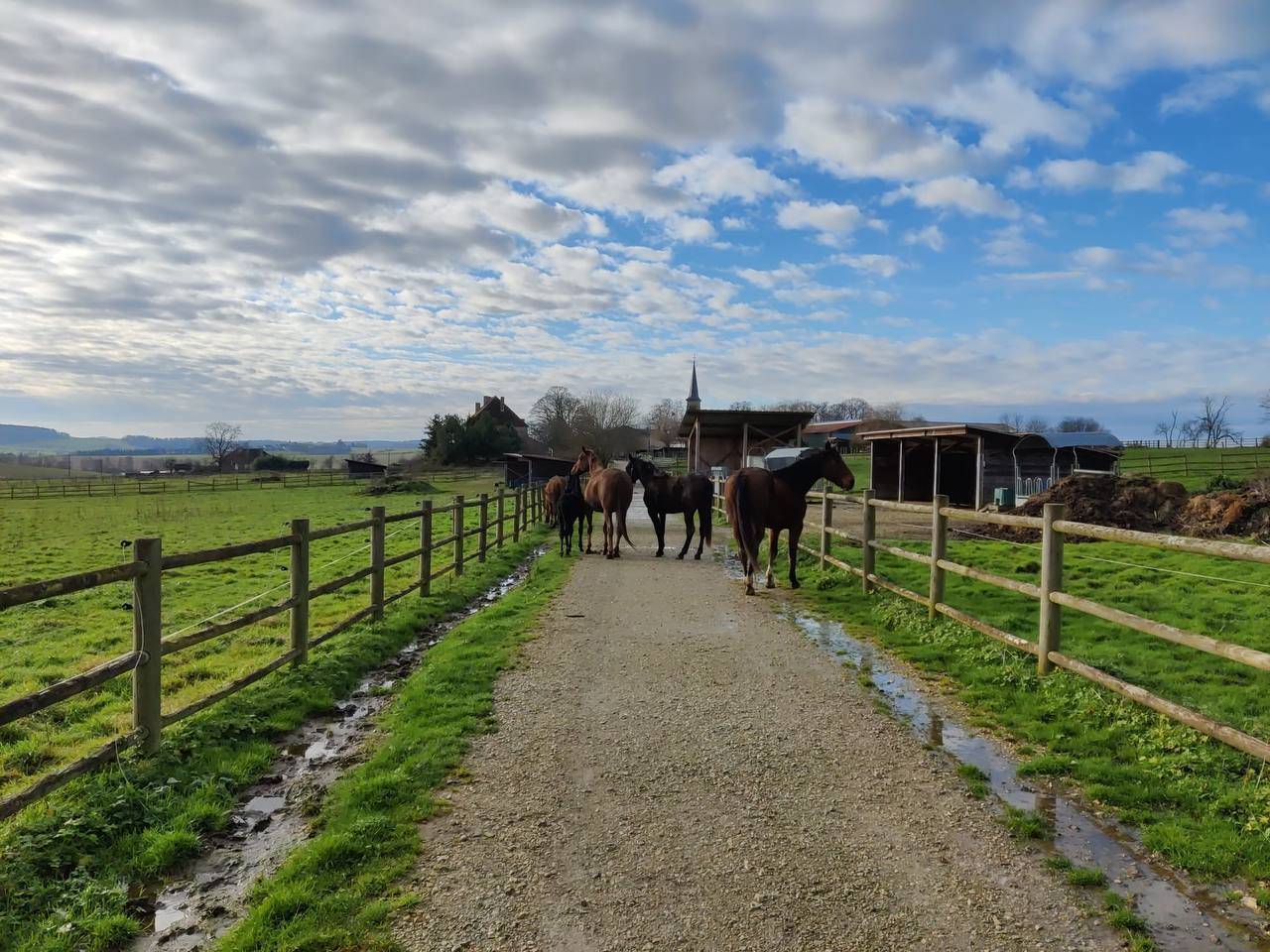 Equestrian property  Haute-Saône