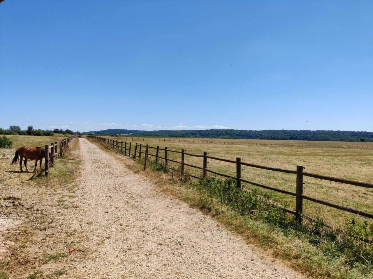 Equestrian property  Haute-Saône