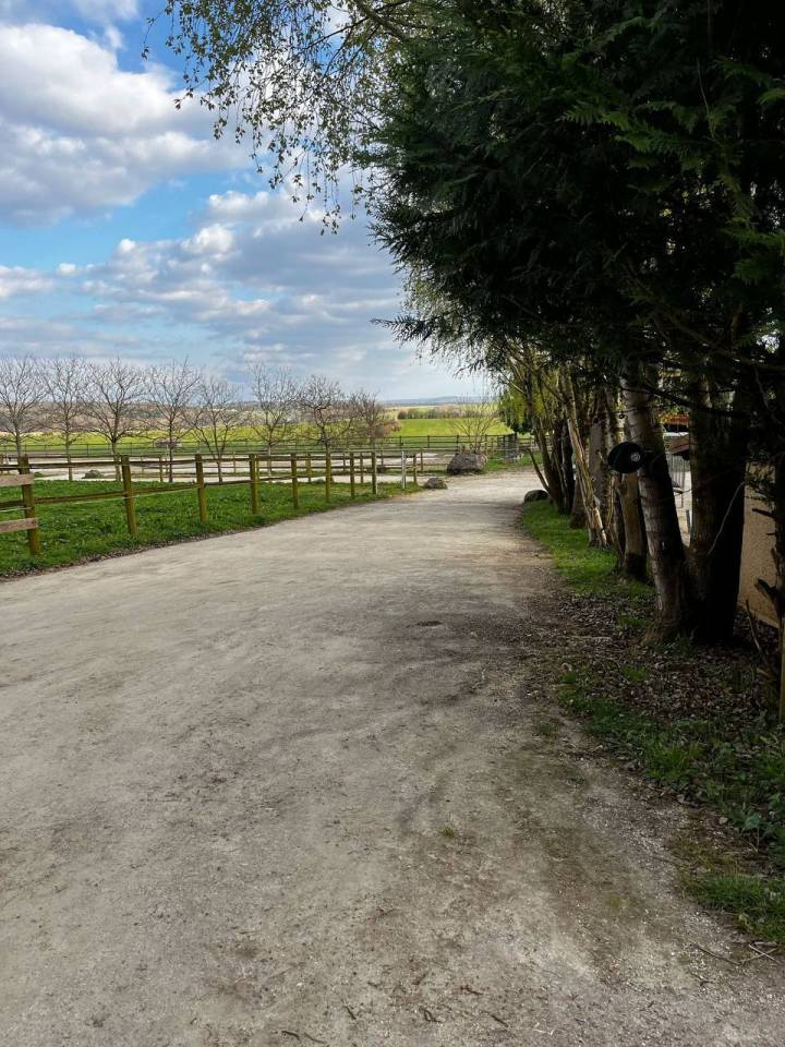 Equestrian property  Haute-Saône