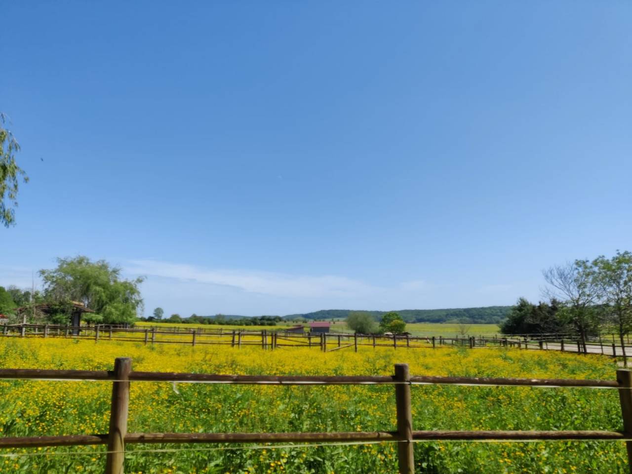 Equestrian property  Haute-Saône