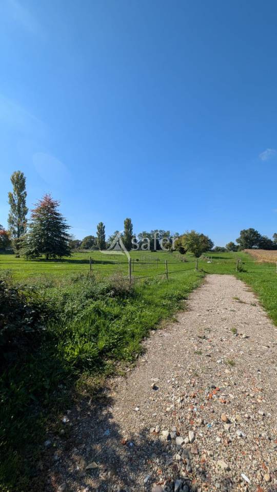 Equestrian property  Ain