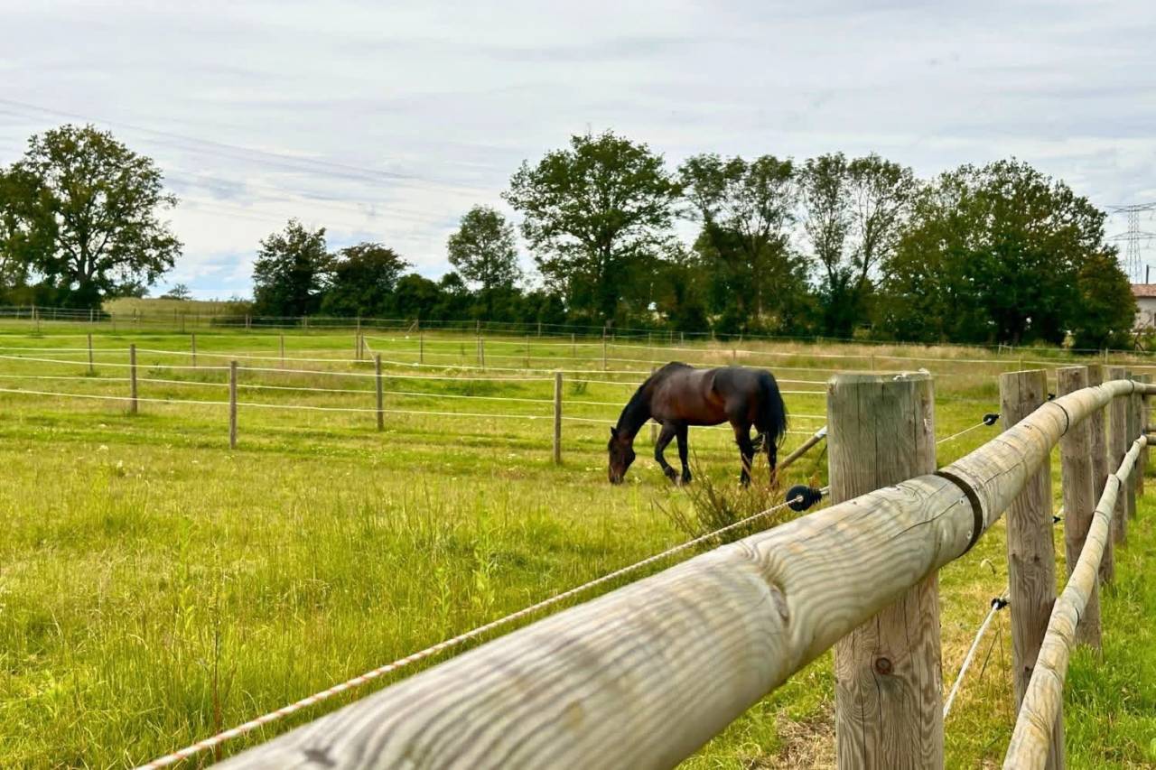 Equestrian property  Ain