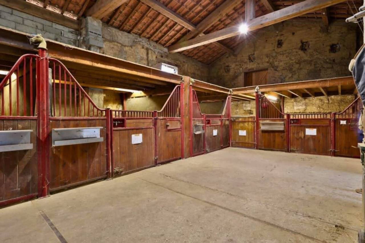 Equestrian property  Ain