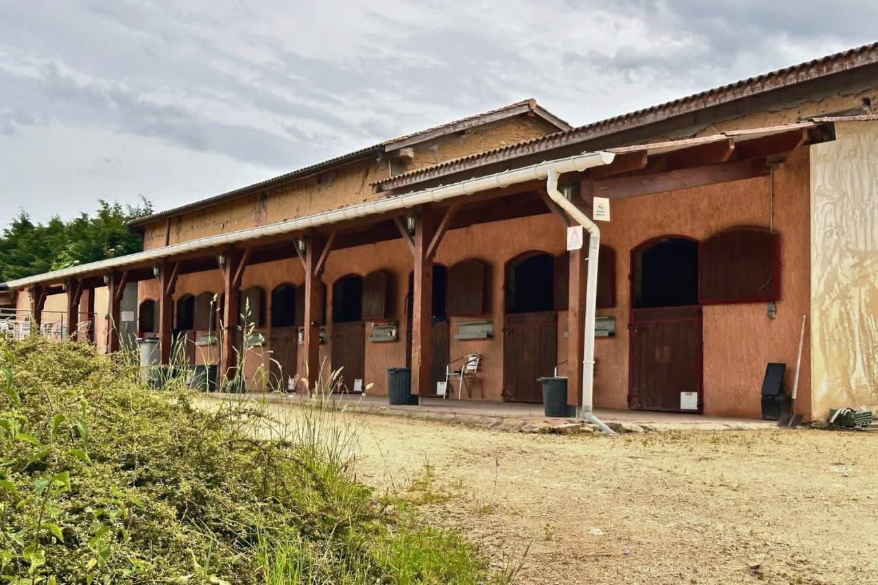 Equestrian property  Ain