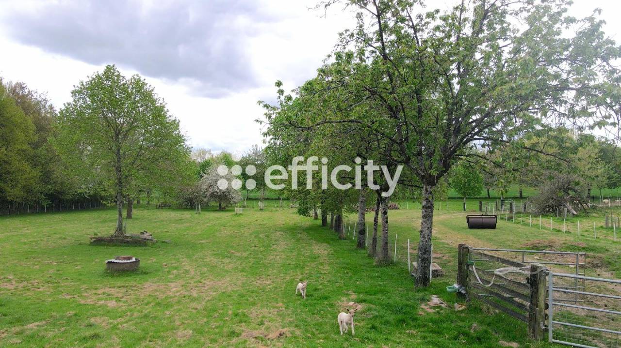 Luxurious equestrian property  Ile-et-Vilaine