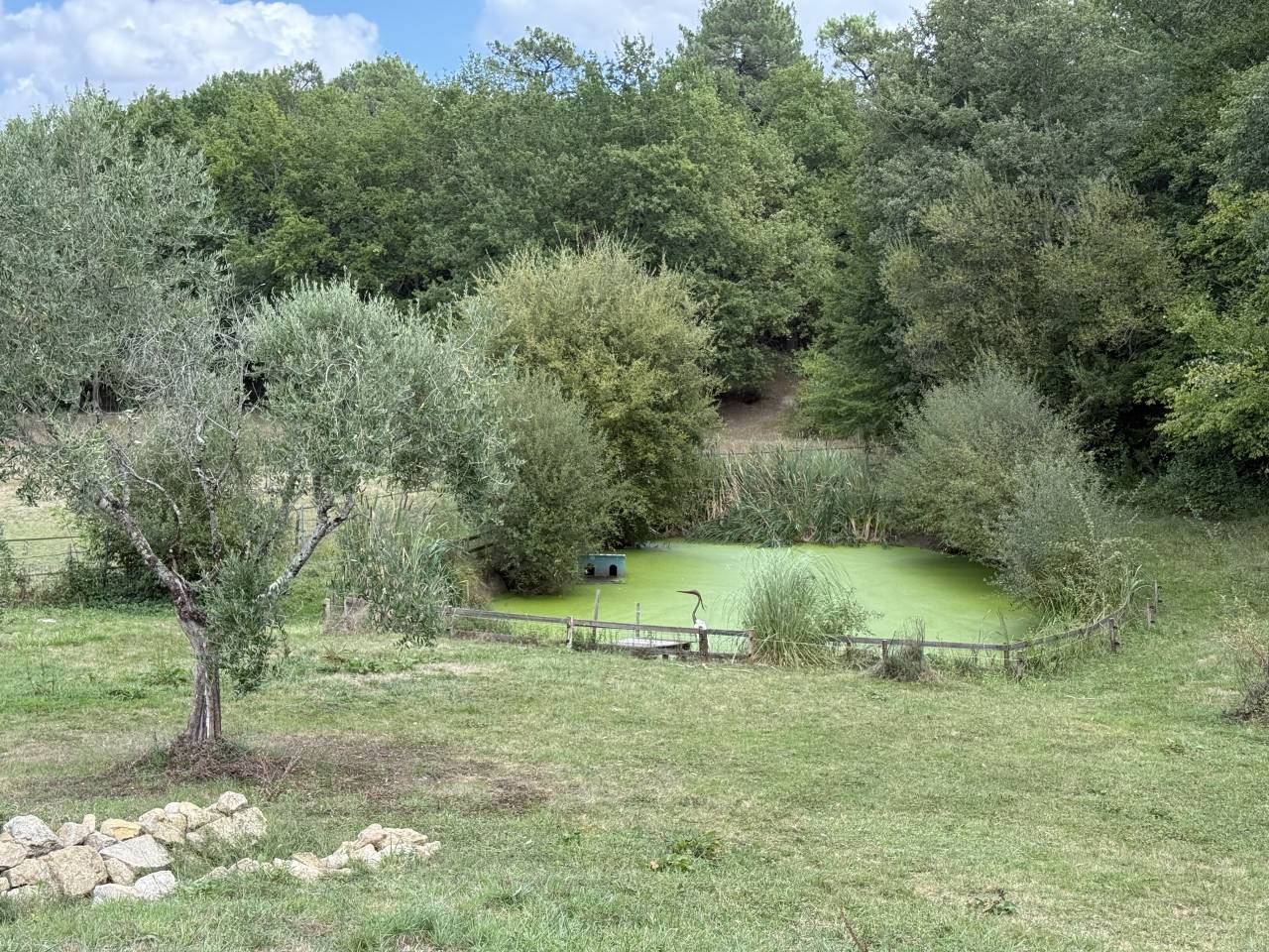 Equestrian property  Gironde