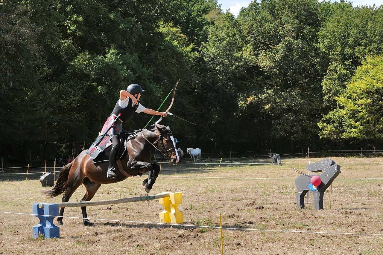 Mare Other Pony Breed For sale 2013 Dark Bay