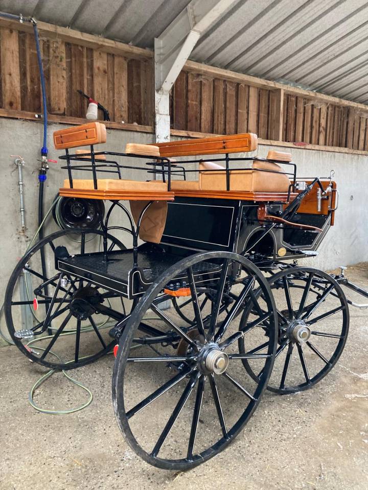 Carriage - Spider - Other brand - Spider 