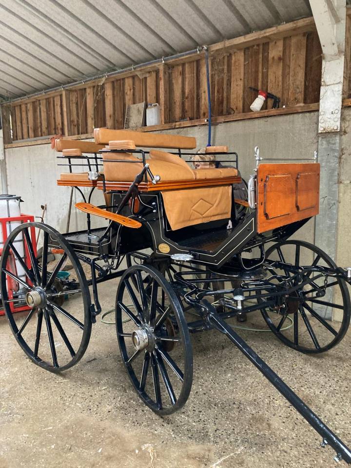 Carriage - Spider - Other brand - Spider 