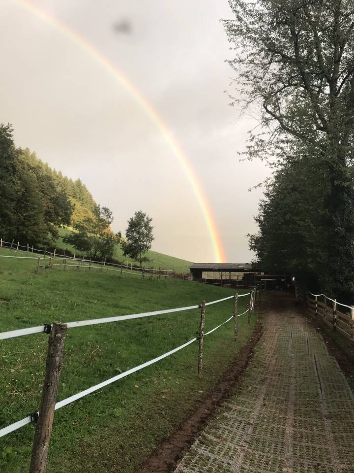 Luxurious equestrian property  Cantal
