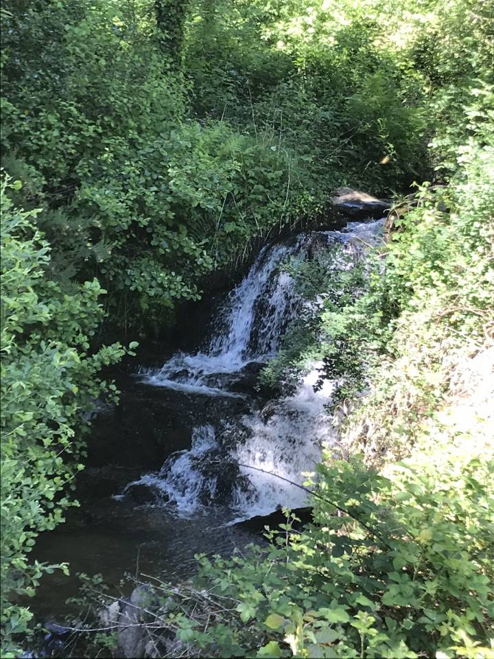 Luxurious equestrian property  Cantal