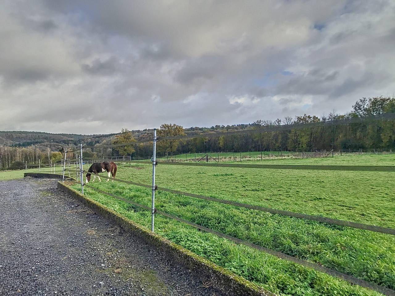 Riding school  Liège