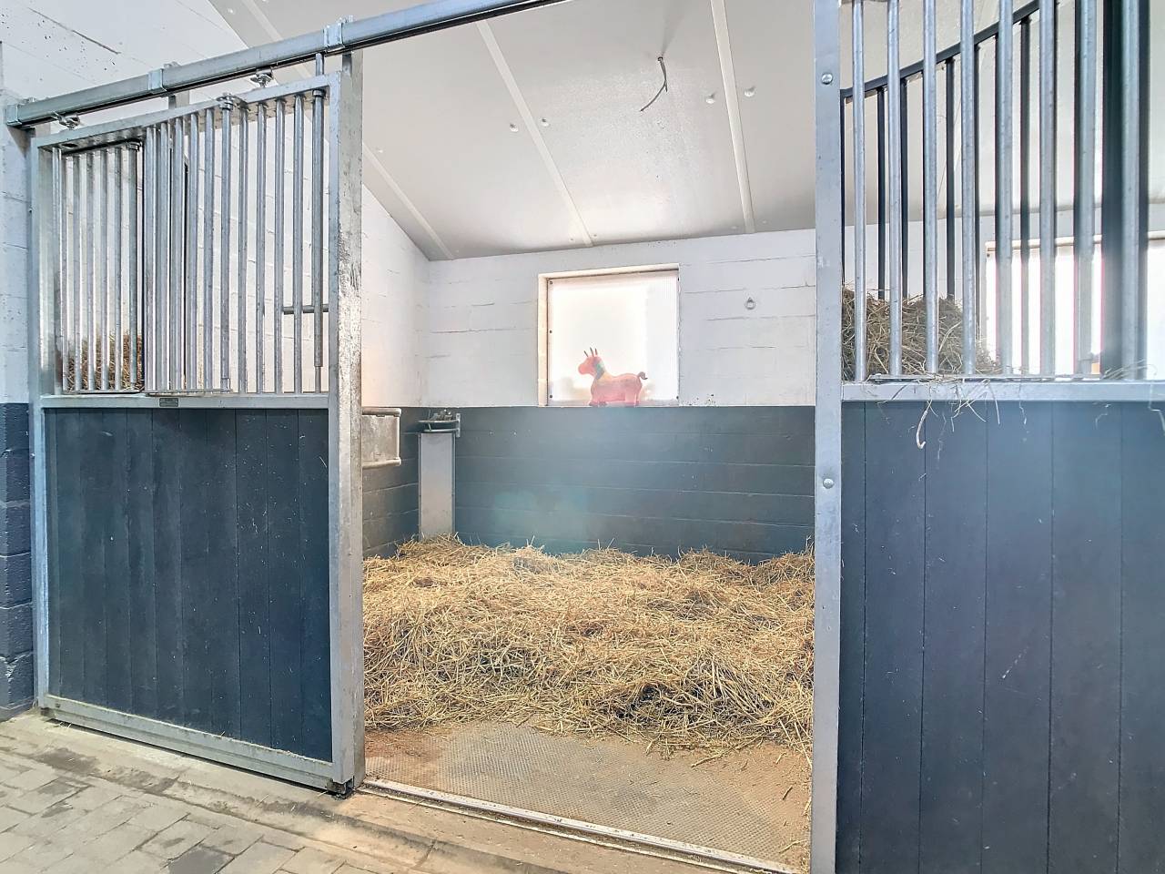 Riding school  Liège