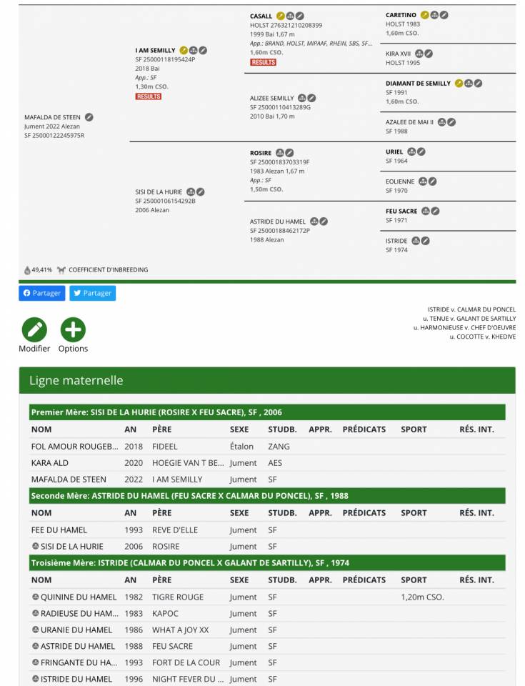 Mare Selle Français For sale 2022 Chesnut