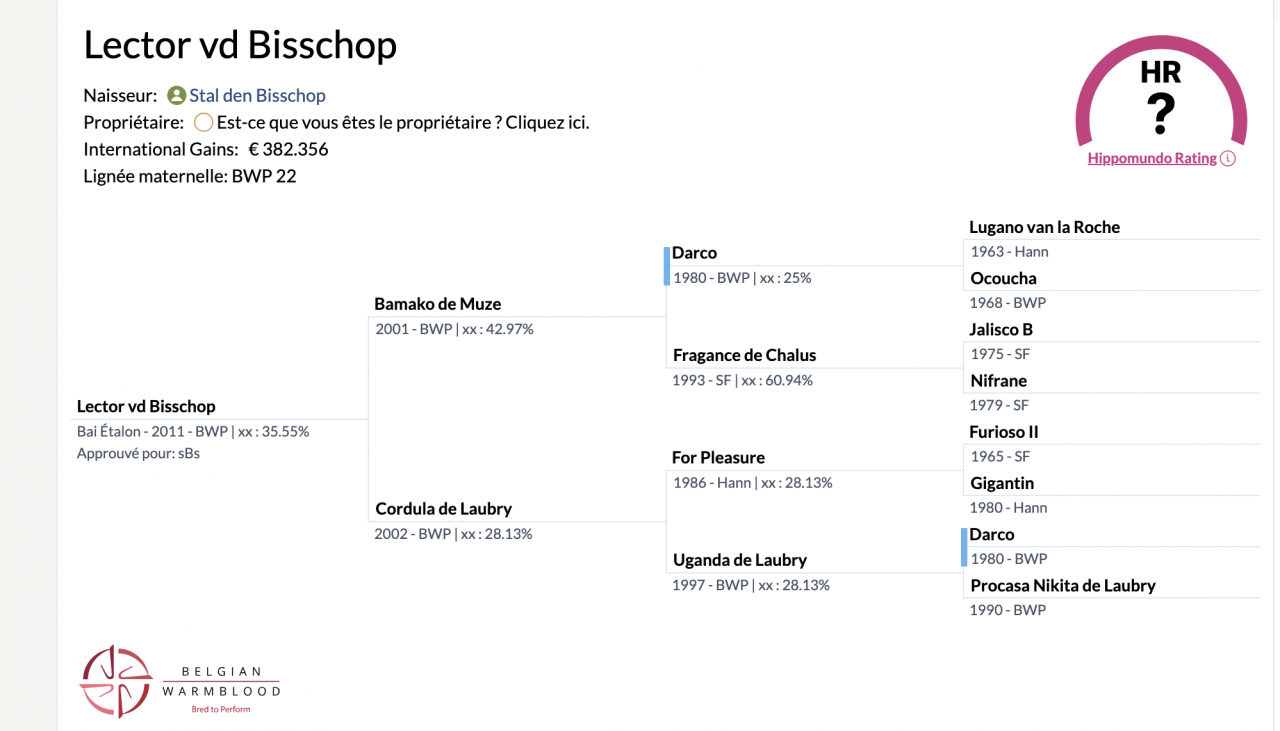 Mare BWP Belgian Warmblood For sale 2009 Bay