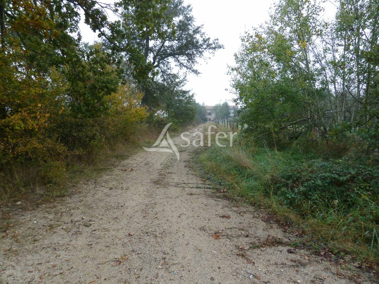 Equestrian property  Loire