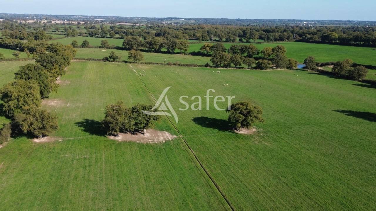 Woodland  Deux-Sèvres