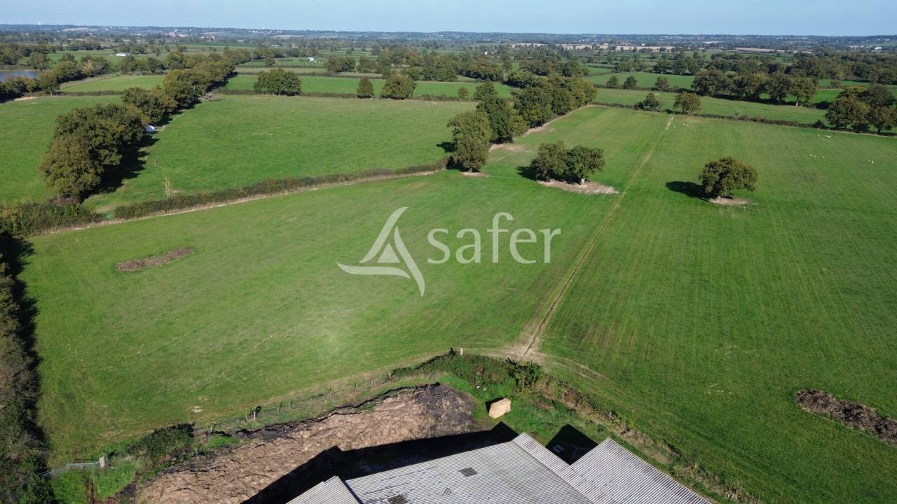 Woodland  Deux-Sèvres