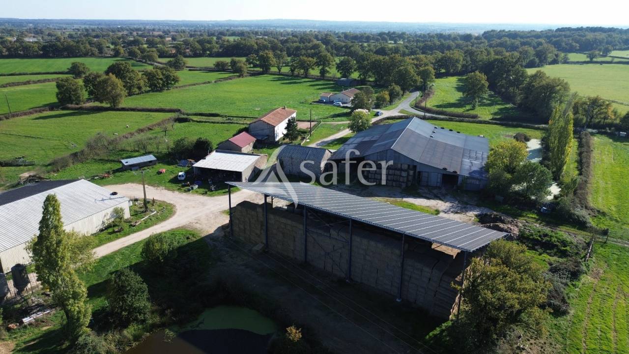 Woodland  Deux-Sèvres