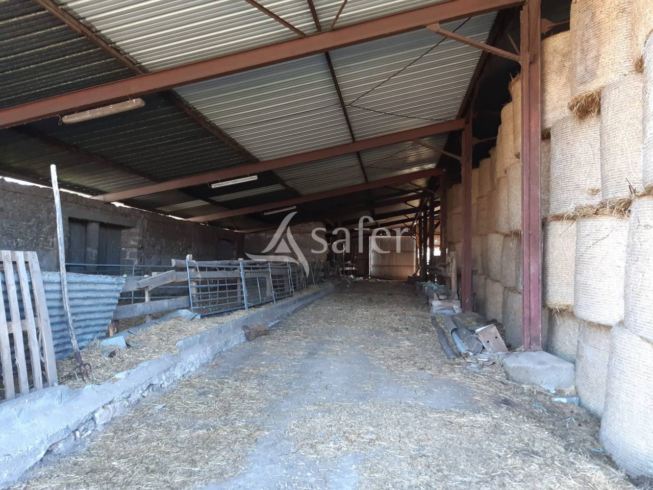 Woodland  Deux-Sèvres