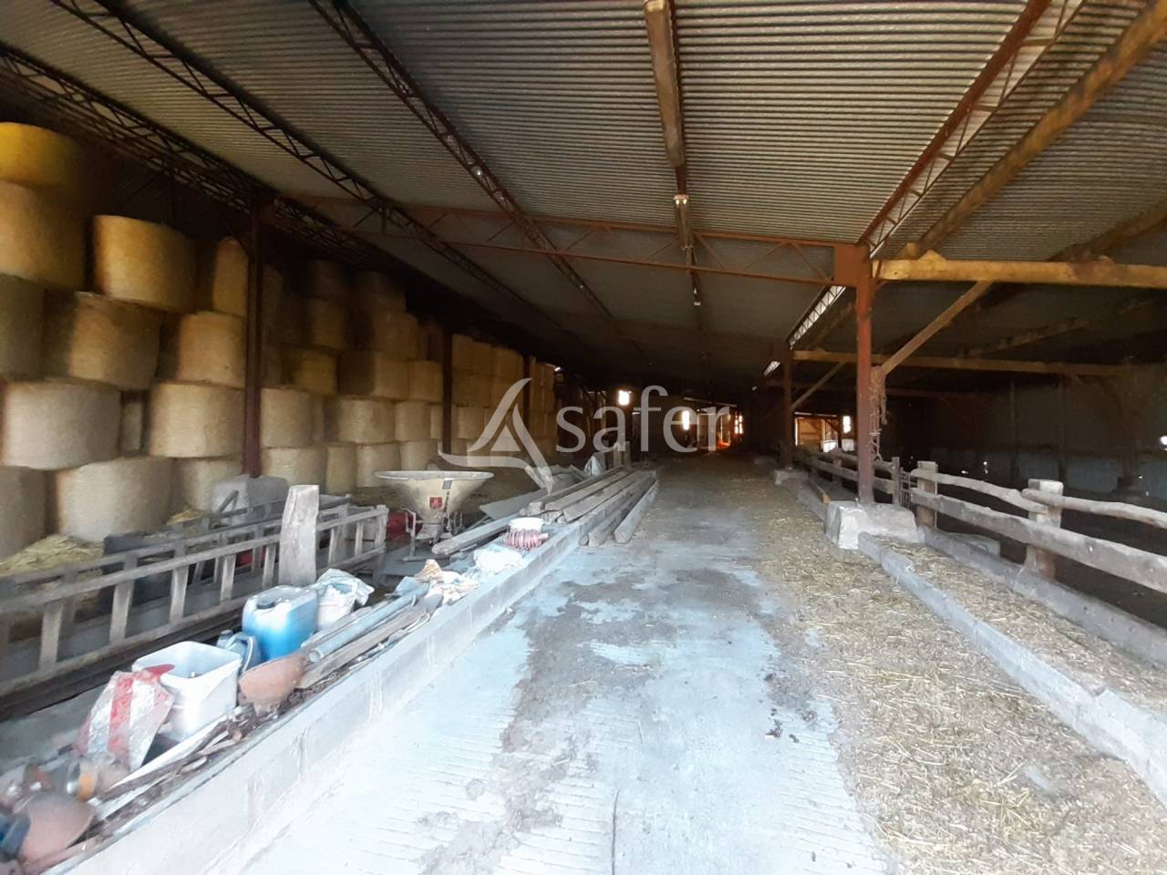 Woodland  Deux-Sèvres