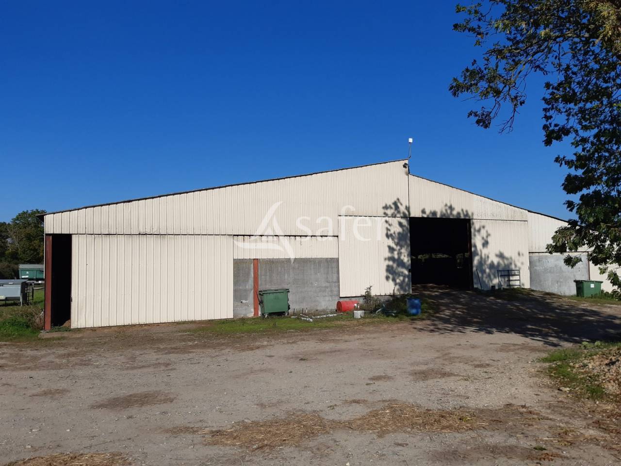 Woodland  Deux-Sèvres