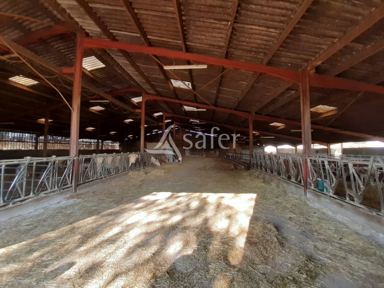 Woodland  Deux-Sèvres