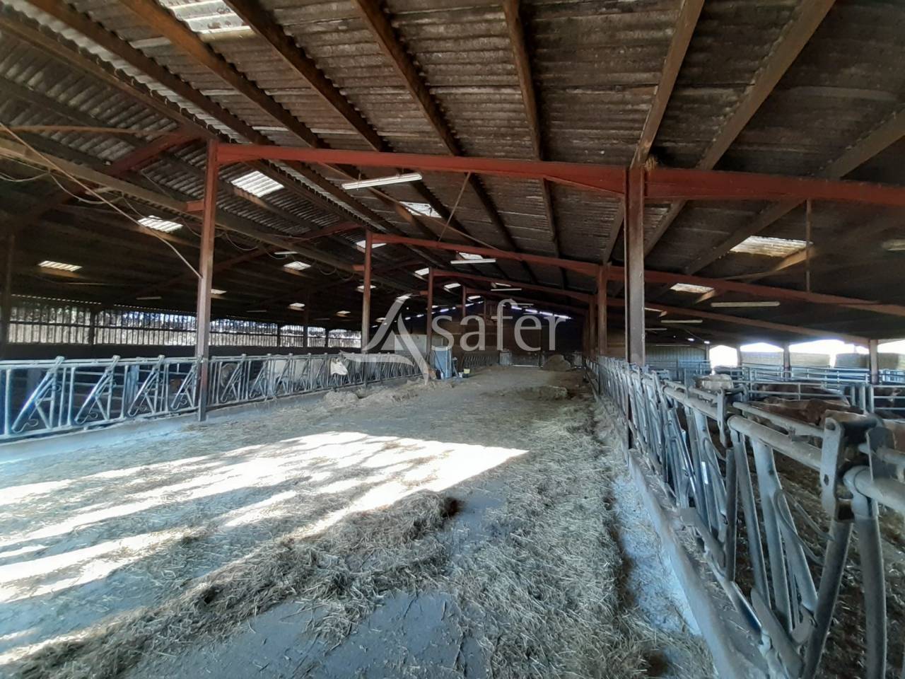 Woodland  Deux-Sèvres