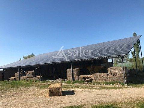 Woodland  Deux-Sèvres